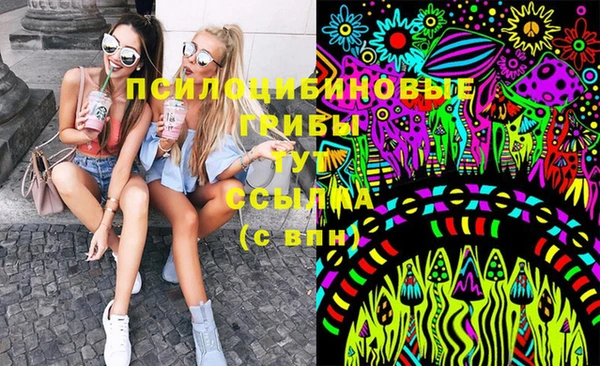 PSILOCYBIN Алексин