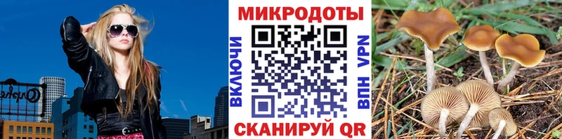 Галлюциногенные грибы Psilocybine cubensis  что такое наркотик  Перевоз 