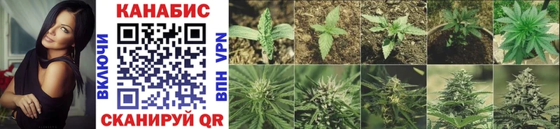 KRAKEN ONION  Перевоз  Шишки марихуана LSD WEED 